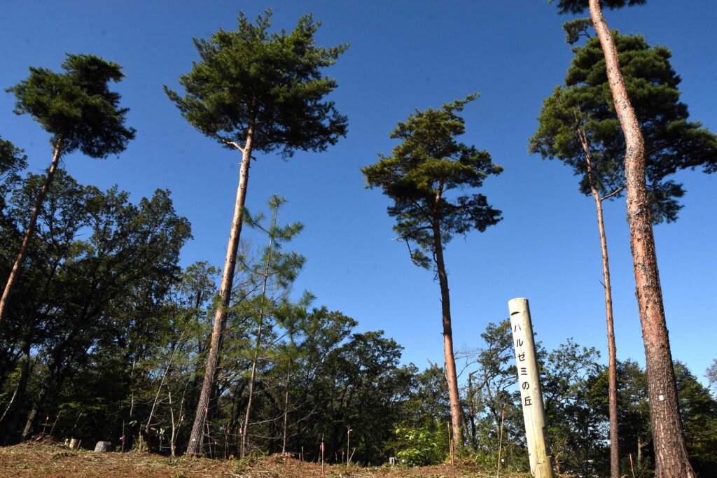 野山北・六道山公園